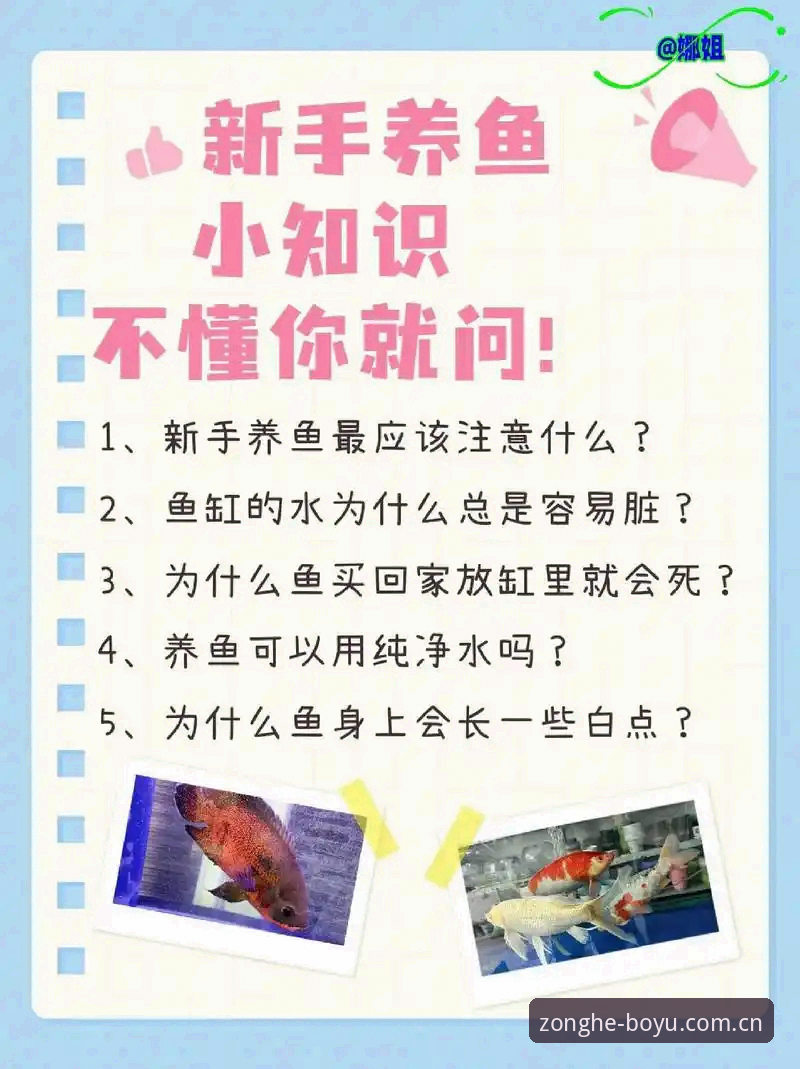 博鱼综合体育APP好用吗 博鱼综合官网使用必备知识:新手快速上手实用指南